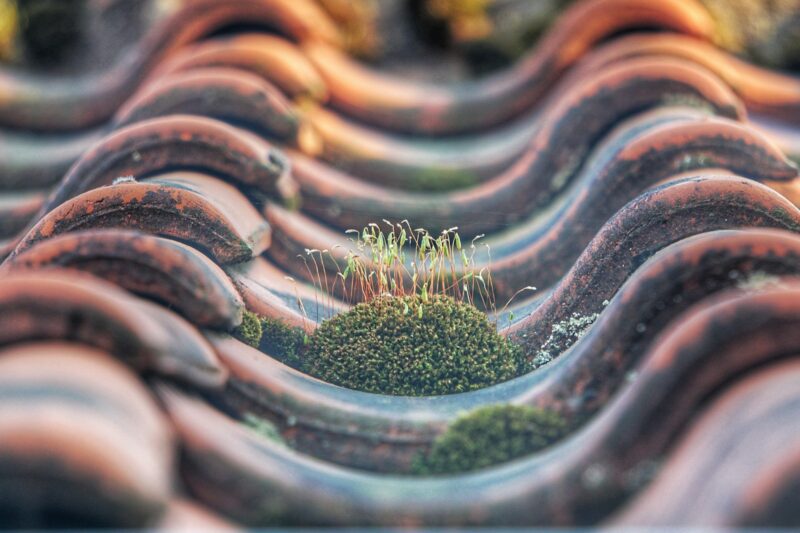 Taktvätt i Borås som skyddar taket och ger nytt liv åt fastigheten